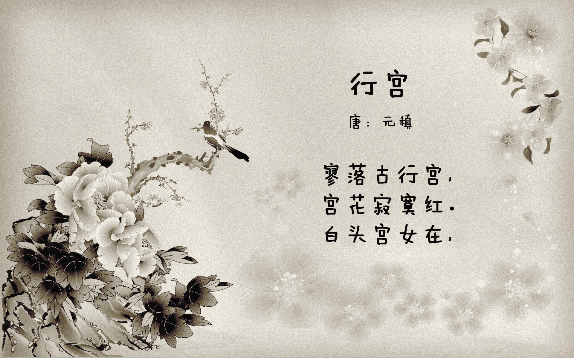 ATP总决赛完胜澳网，蒂姆惊艳四座的唯一性证明