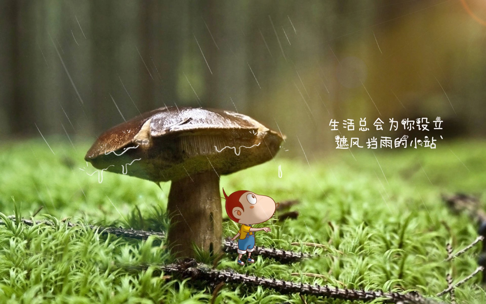 唯一的主宰,当阿隆索在铃鹿赛道为阿斯顿马丁写下不可复制的胜利诗篇