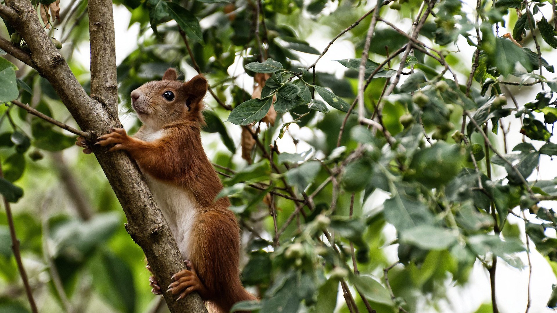 时间骑士,从2018年克利夫兰到2026年马尼拉,唯一性如何跨越时空传递