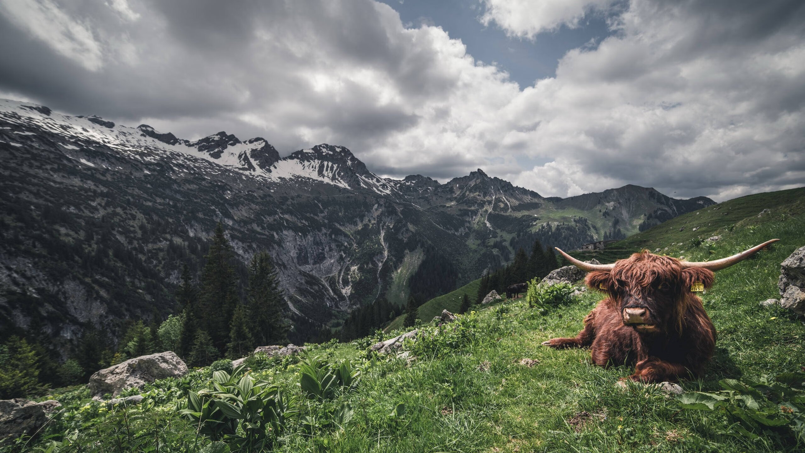 足球的双重奇迹，毕尔巴鄂绝杀阿根廷与厄德高欧冠半决赛的传奇接管