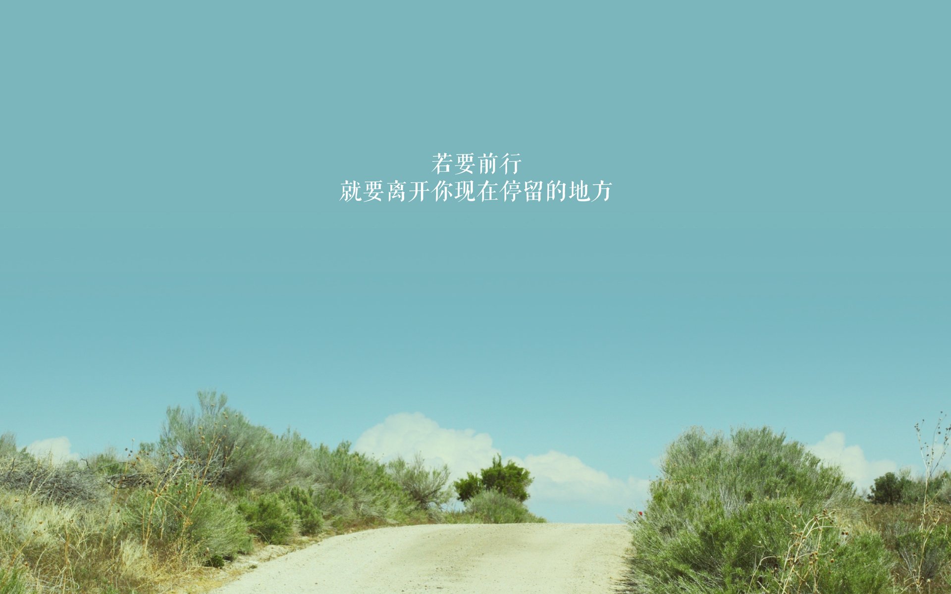 跨界对决的震撼一夜,利拉德撕裂深圳防线的艺术与余韵