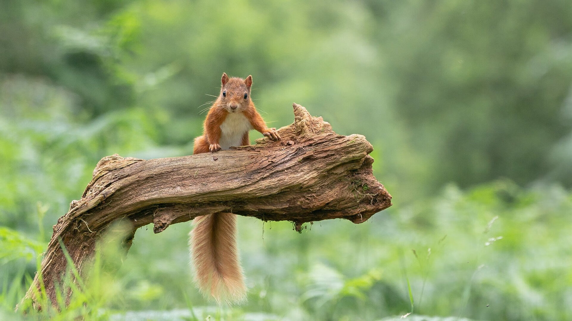 当山西队遇见库里，一场跨越时空的篮球哲学对话