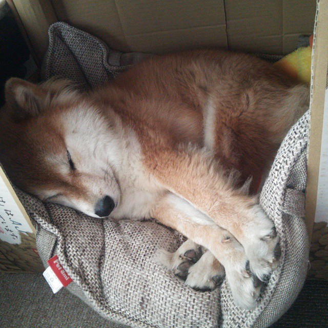 后防磐石与红白利刃,当稳定遇见硬仗