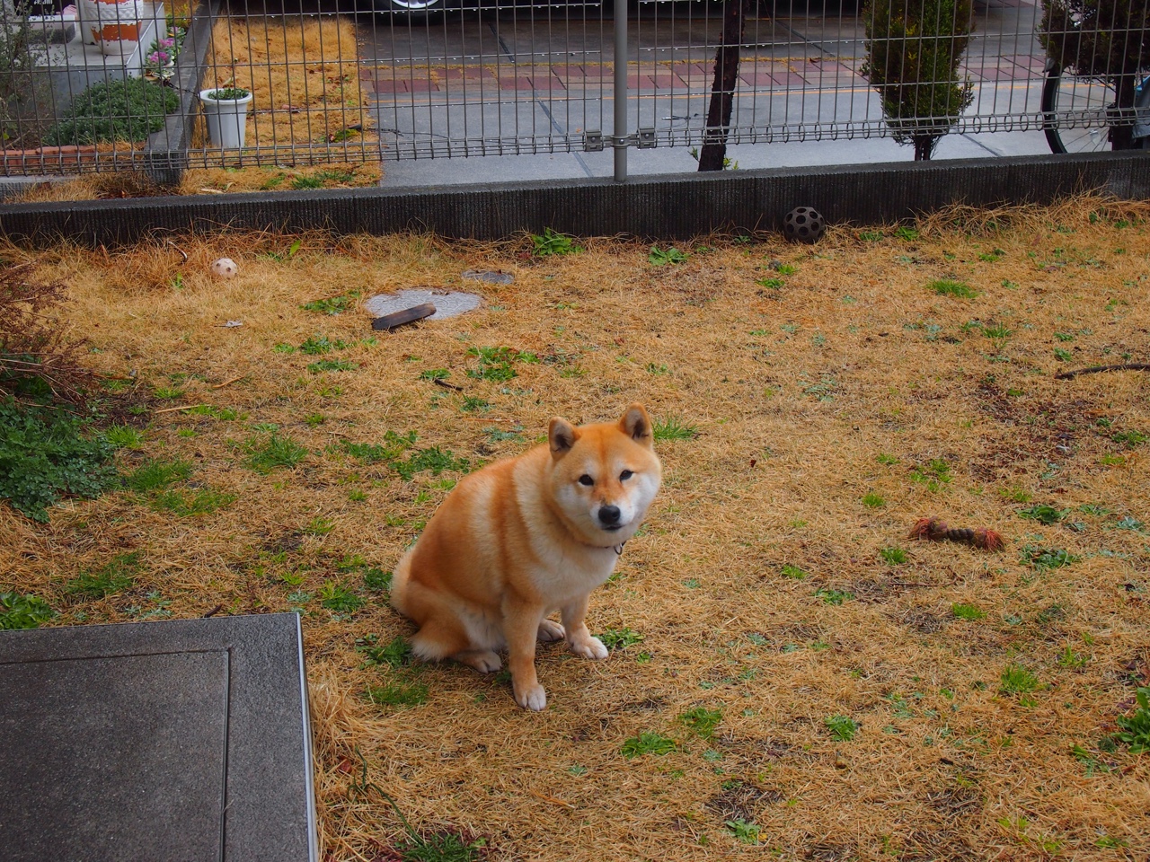 血洗与撕裂，生死战米切尔用防守绞杀步行者咽喉