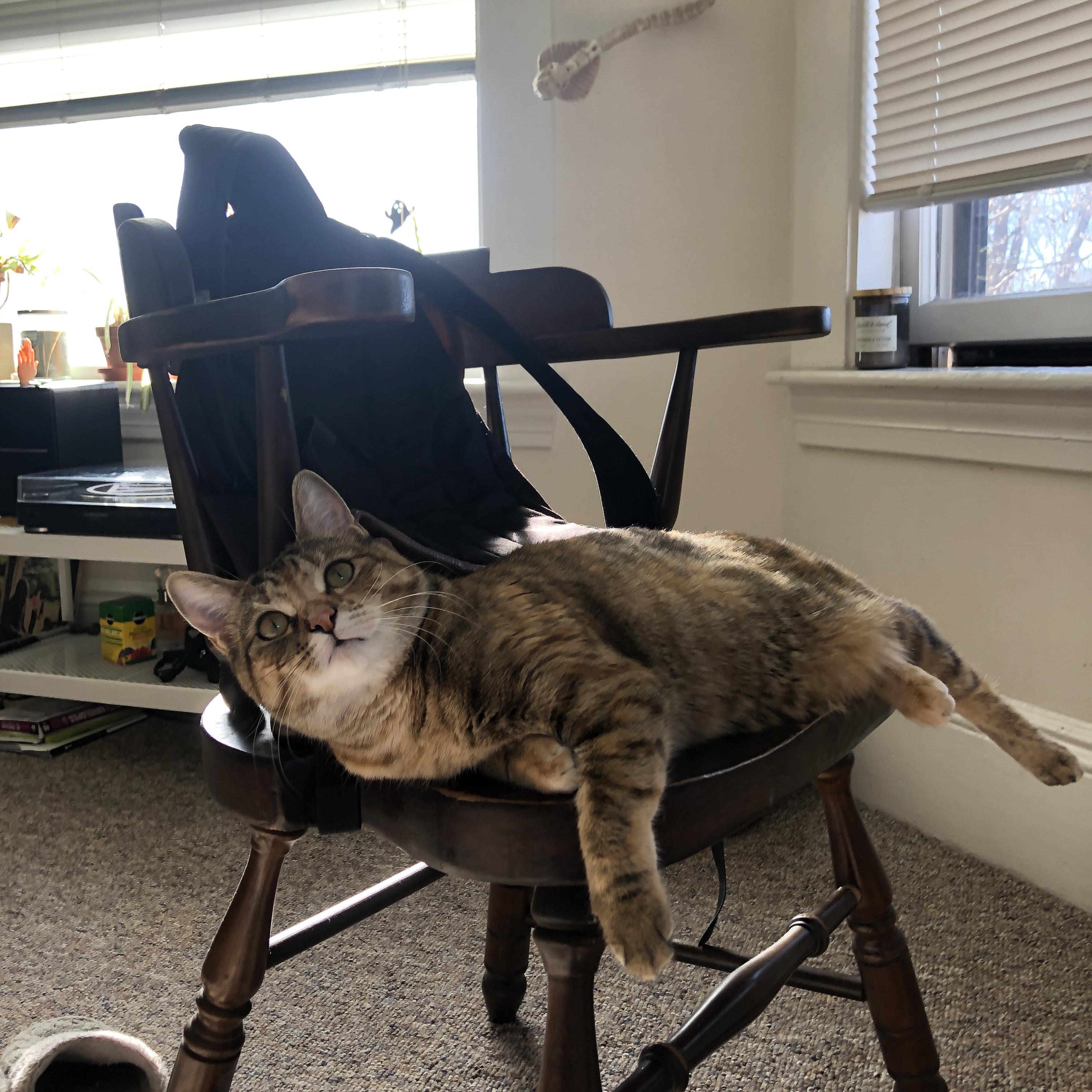 钢铁战车碾过午夜，武切维奇奥运门票之战持续制造杀伤的逆袭哲学