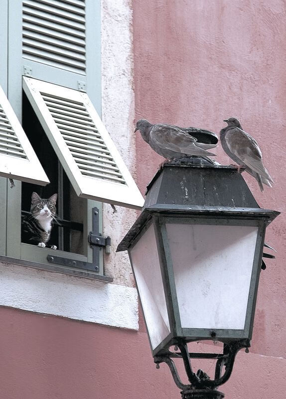 德甲双线战局之夜，京多安是中场唯一的指挥官