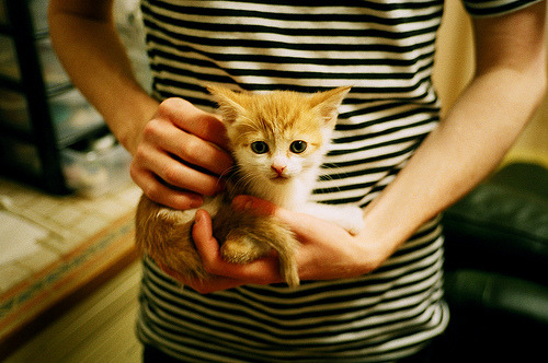 击碎爵士！森林狼爆冷大胜，最后的主角却是欧文