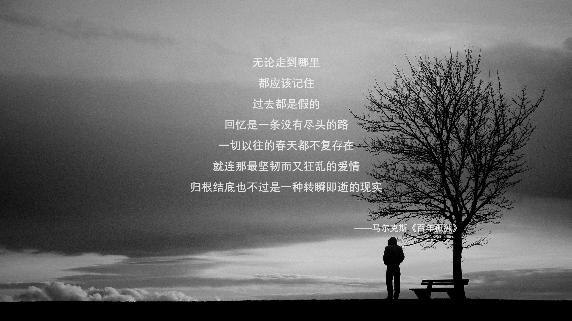 橙衣凋零,桑巴重生,2026世界杯D组关键战,葡萄牙智取荷兰,苏亚雷斯封神之夜