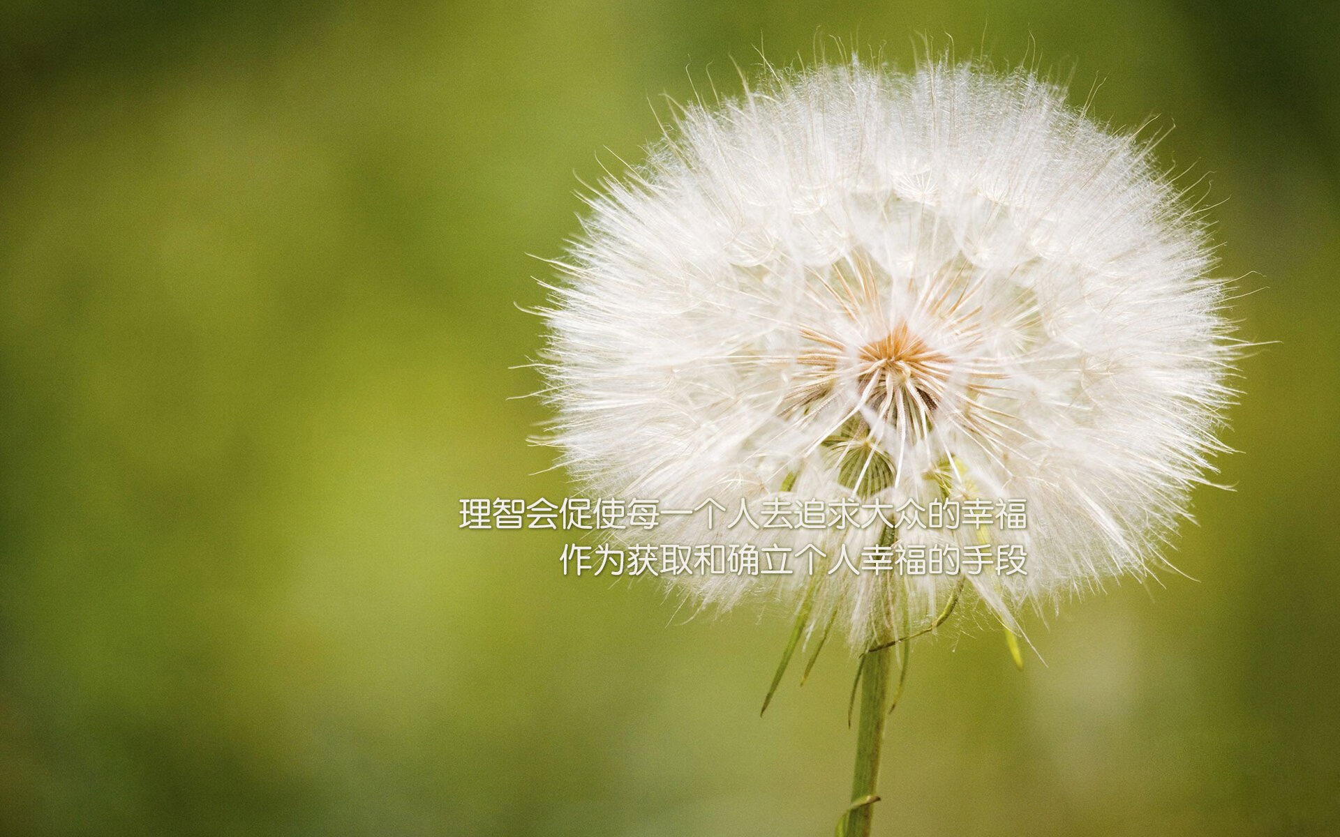 冰与火的终章,2026世界杯F组,德意志逆转之夜,德布劳内一剑封喉